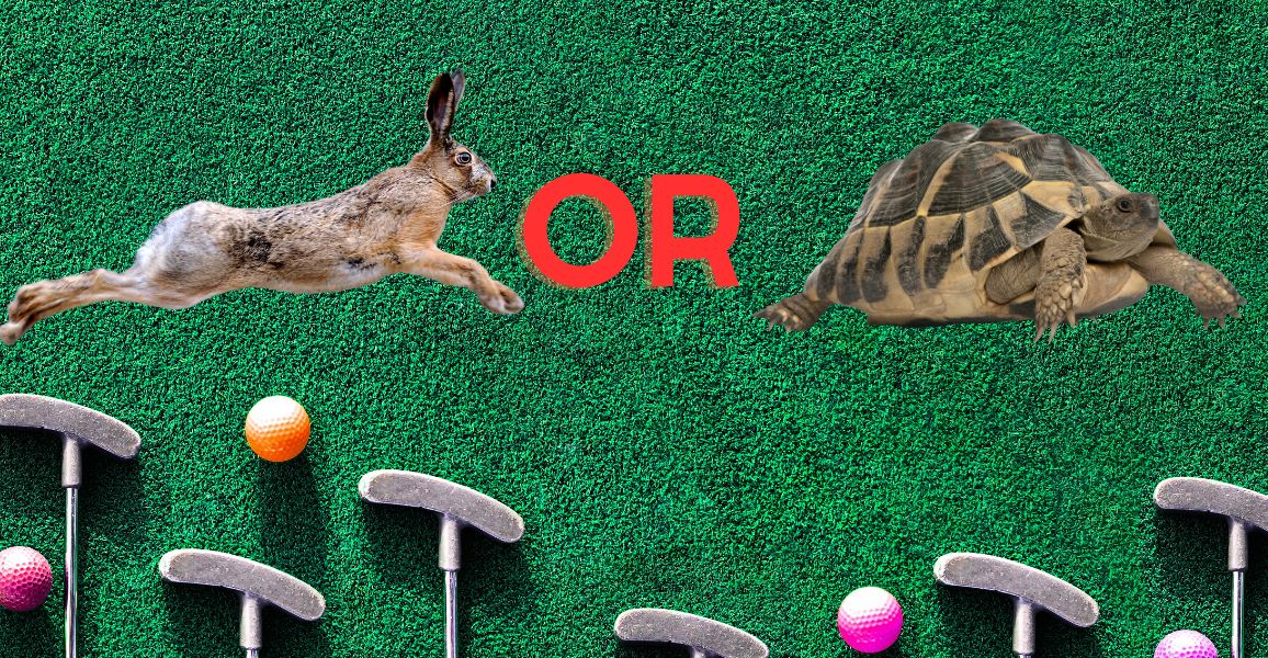 Tortoise and a hair next to mini-golf putters and balls